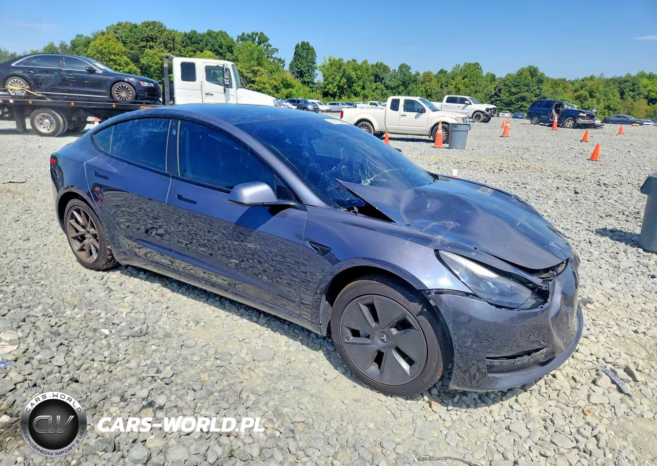 2021 Tesla Model 3 VIN:5YJ3E1EA1MF099800 - 4