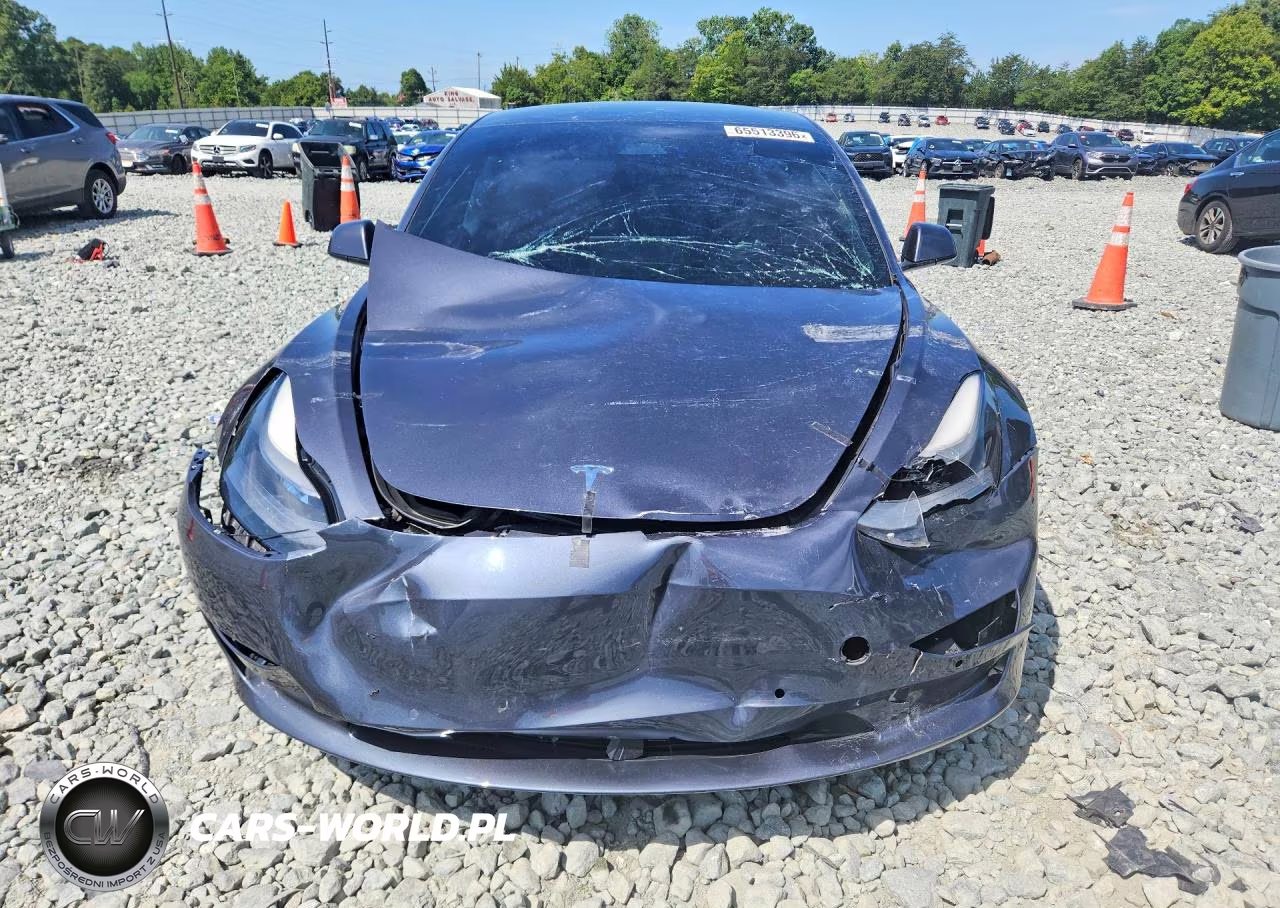 2021 Tesla Model 3 VIN:5YJ3E1EA1MF099800 - 5