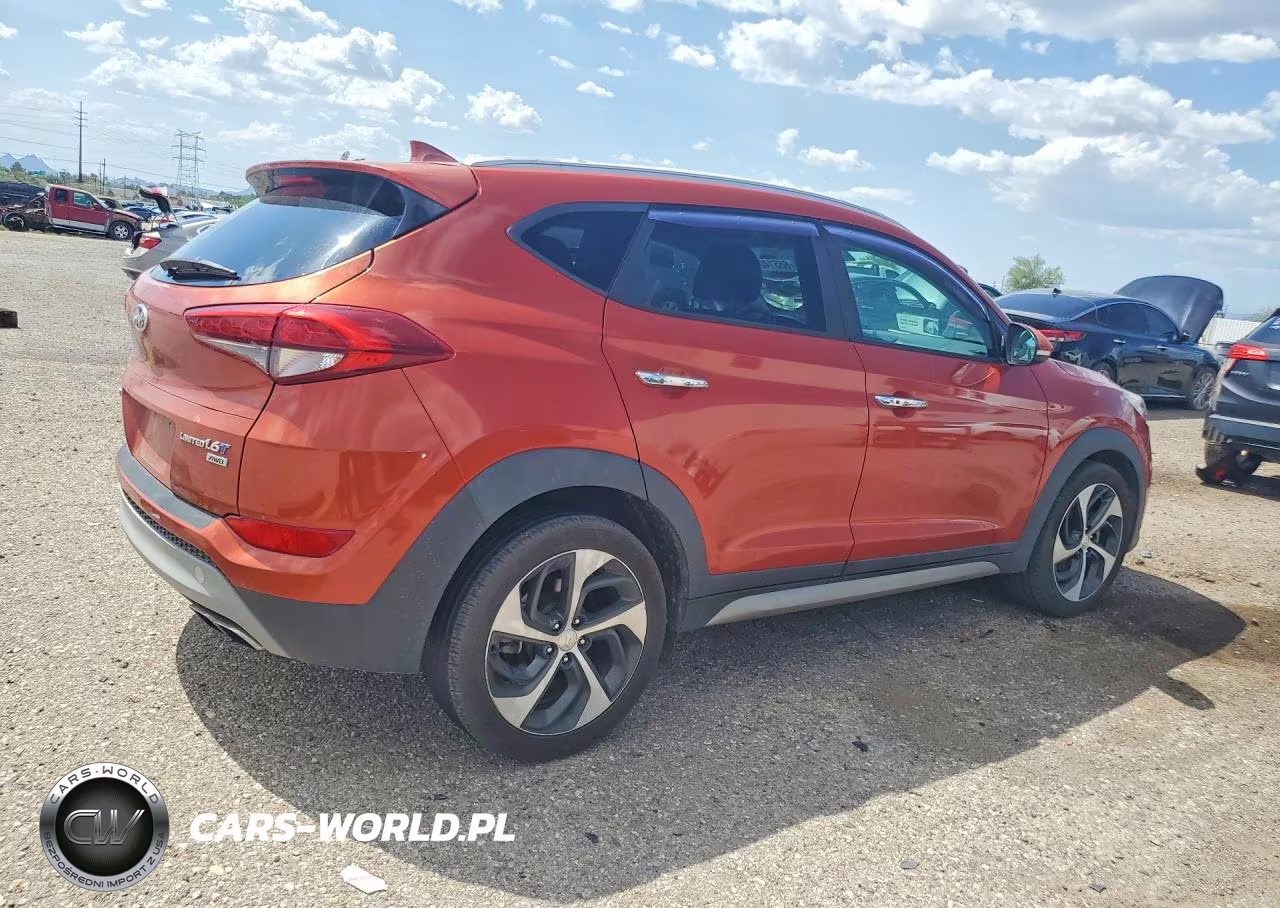 2017 Hyundai Tucson Limited VIN:KM8J3CA28HU324844 - 3