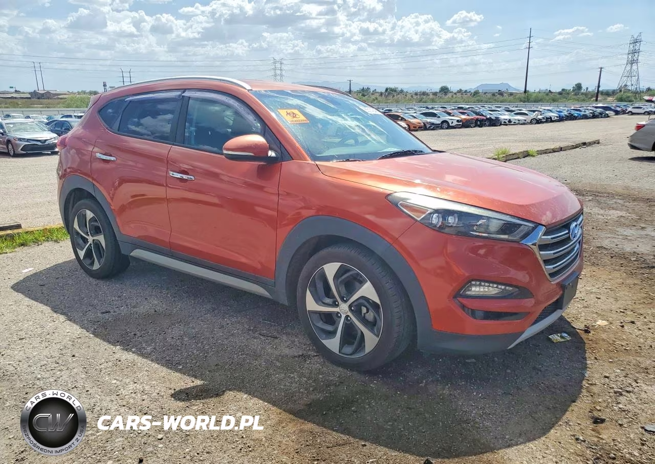 2017 Hyundai Tucson Limited VIN:KM8J3CA28HU324844 - 4