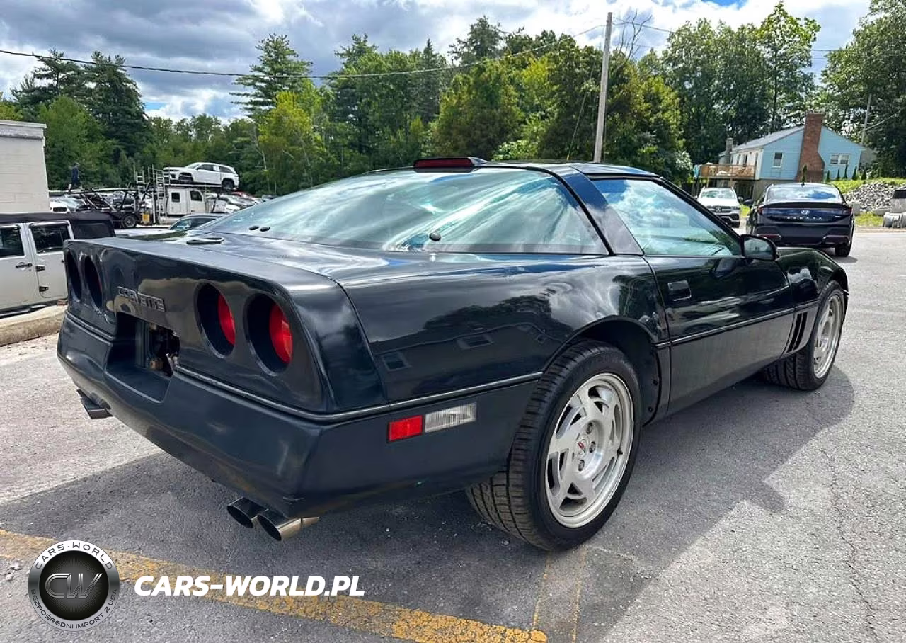 1990 Chevrolet Corvette VIN:1G1YY2381L5112976 - 3