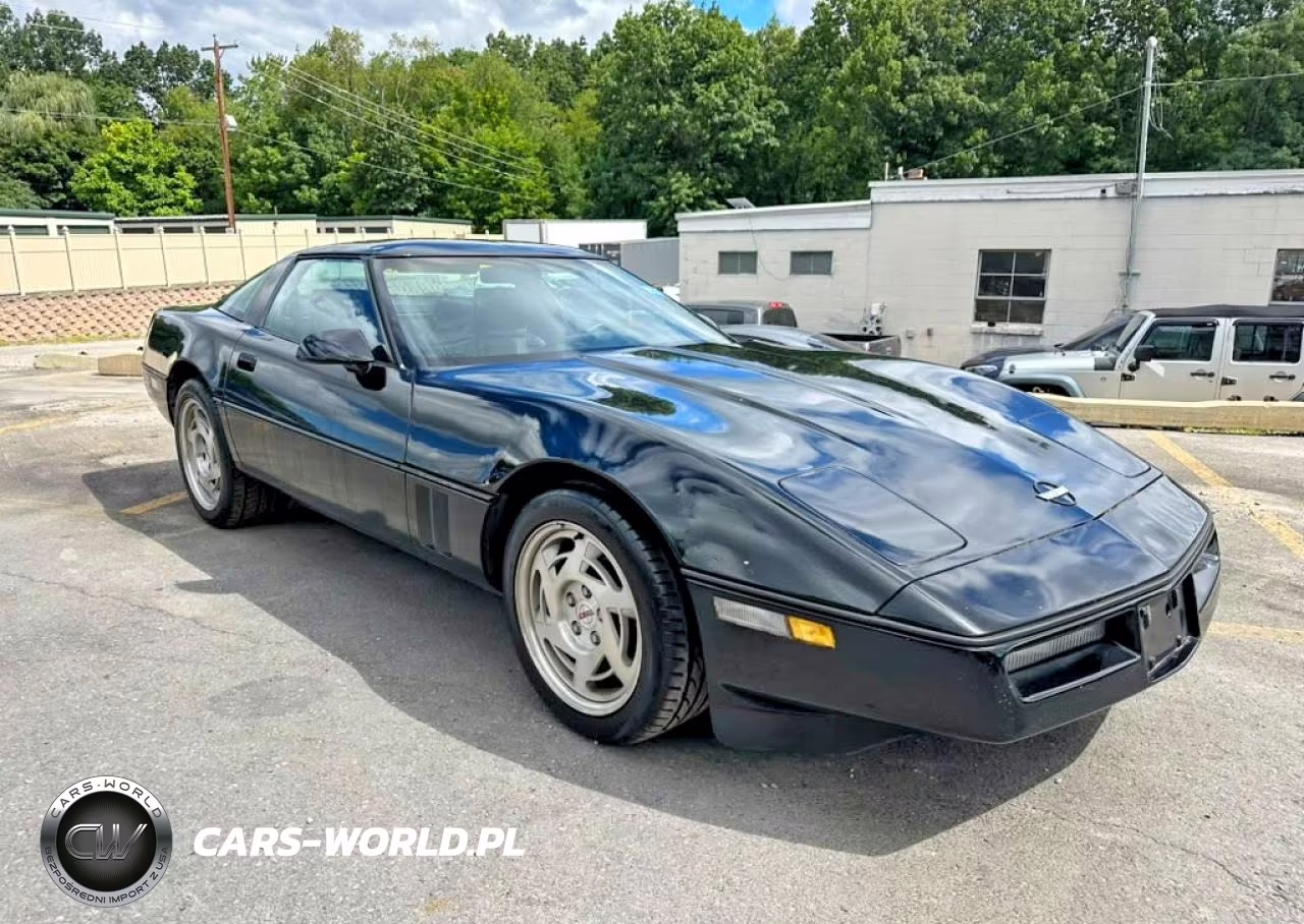 1990 Chevrolet Corvette VIN:1G1YY2381L5112976 - 4