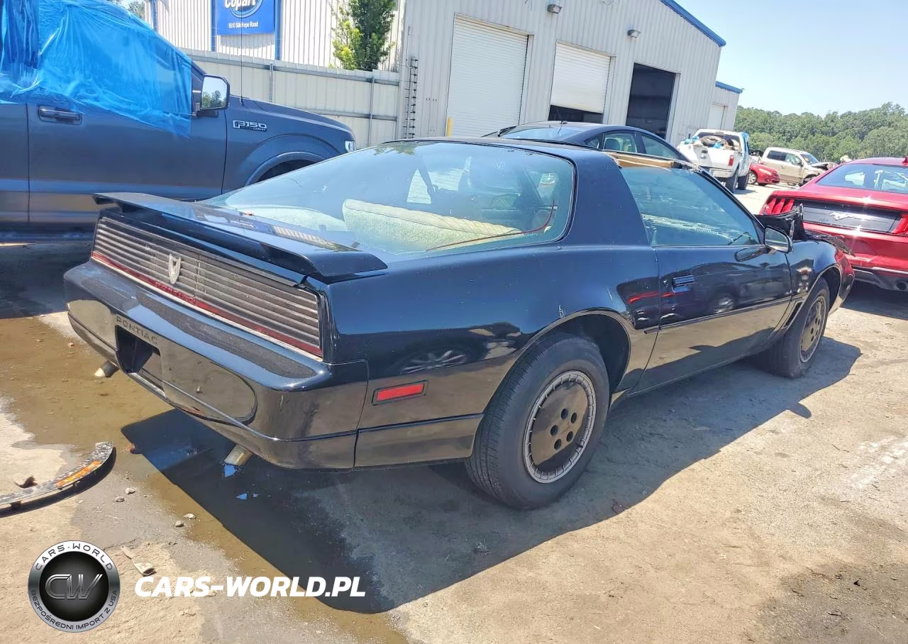 1985 Pontiac Firebird Trans Am VIN:1G2FW87F5FN214631 - 3