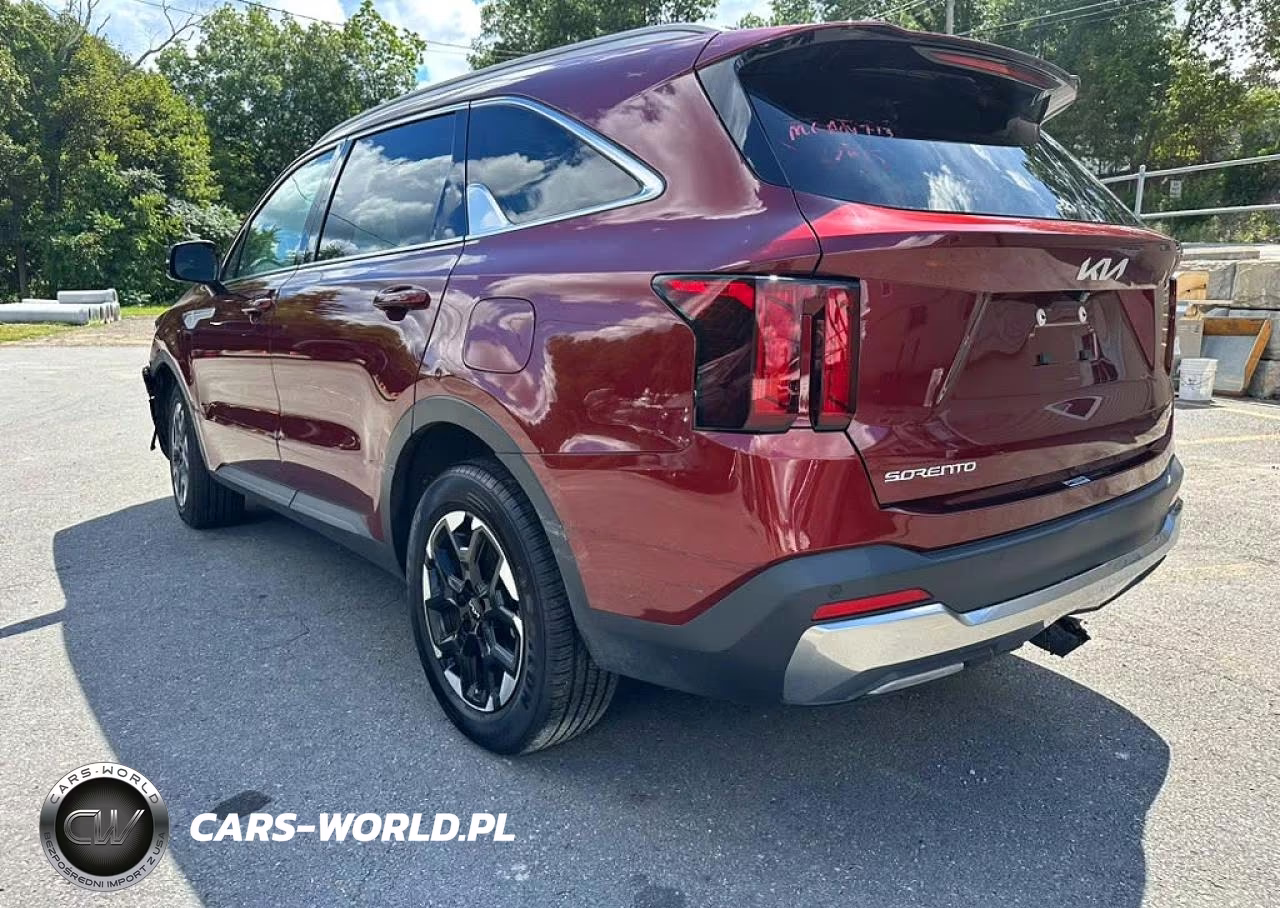 2024 Kia Sorento S VIN:5XYRLDJC7RG274608 - 2