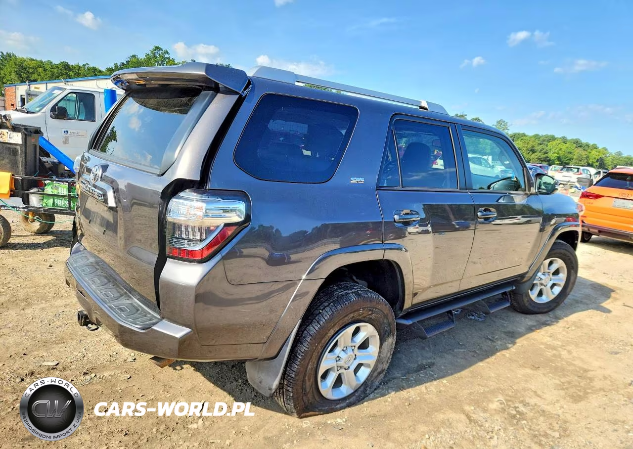 2018 Toyota 4Runner Sr5 Premium VIN:JTEBU5JR7J5594013 - 3