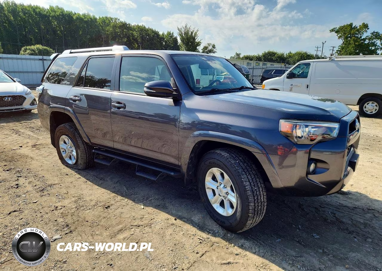 2018 Toyota 4Runner Sr5 Premium VIN:JTEBU5JR7J5594013 - 4