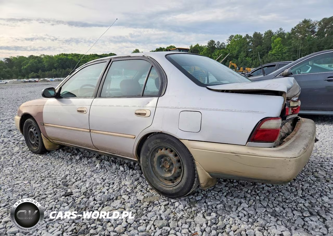 1996 Toyota Corolla VIN:1NXBB02E1TZ373326 - 2