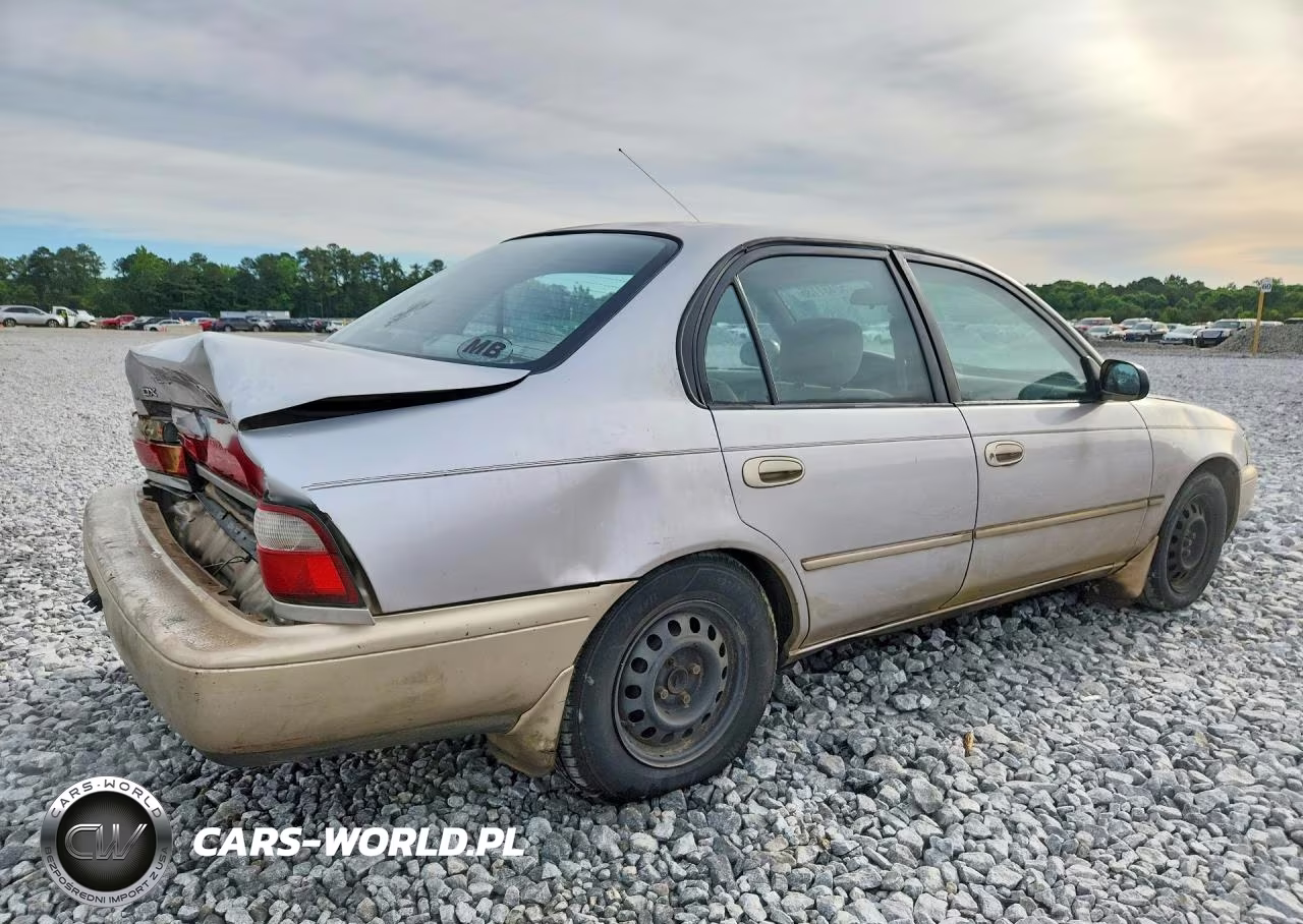 1996 Toyota Corolla VIN:1NXBB02E1TZ373326 - 3