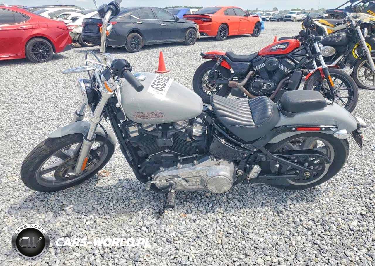 2024 Harley-Davidson Motorcyle VIN:1HD1BVJ13RB017331 - 3