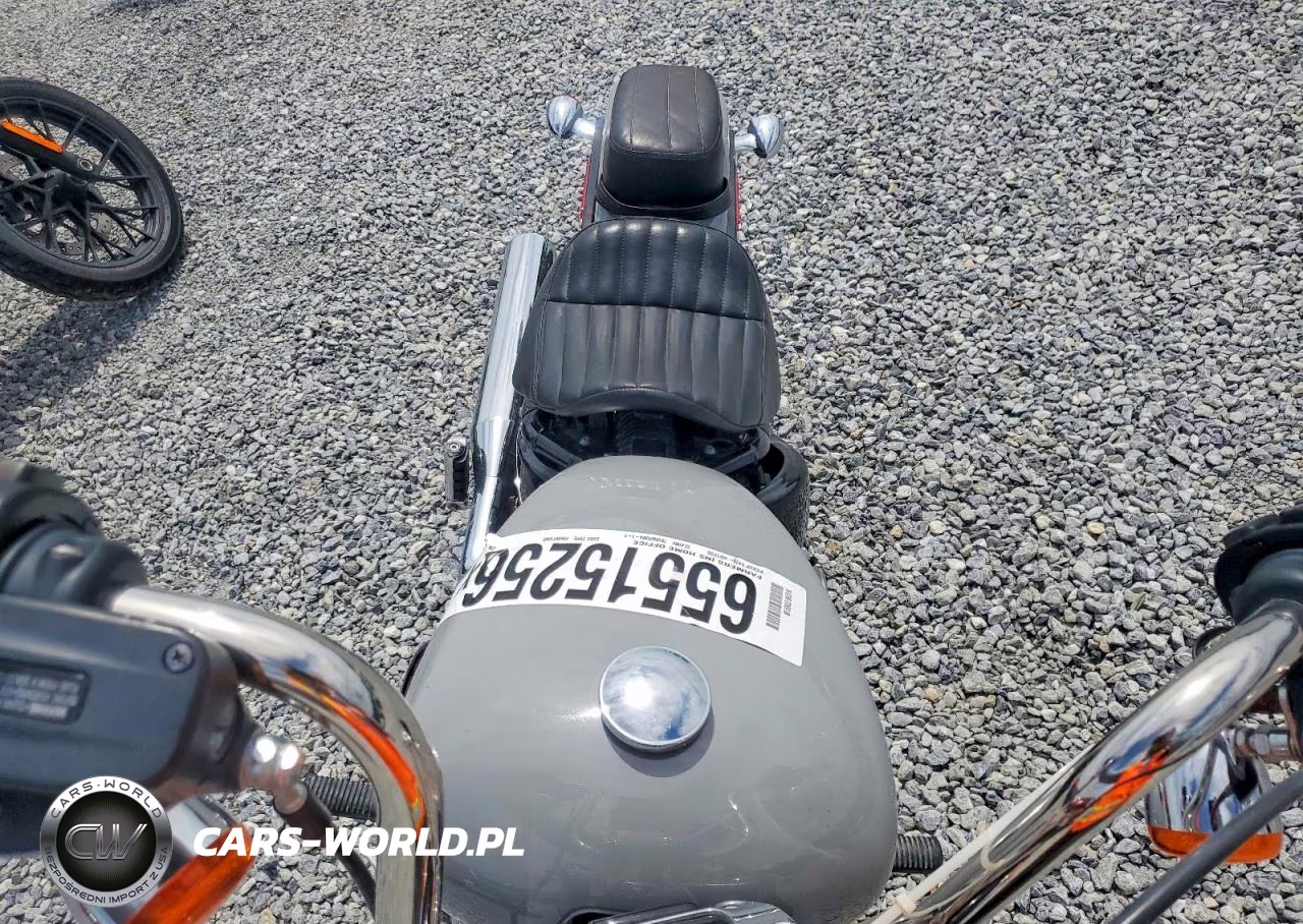 2024 Harley-Davidson Motorcyle VIN:1HD1BVJ13RB017331 - 5