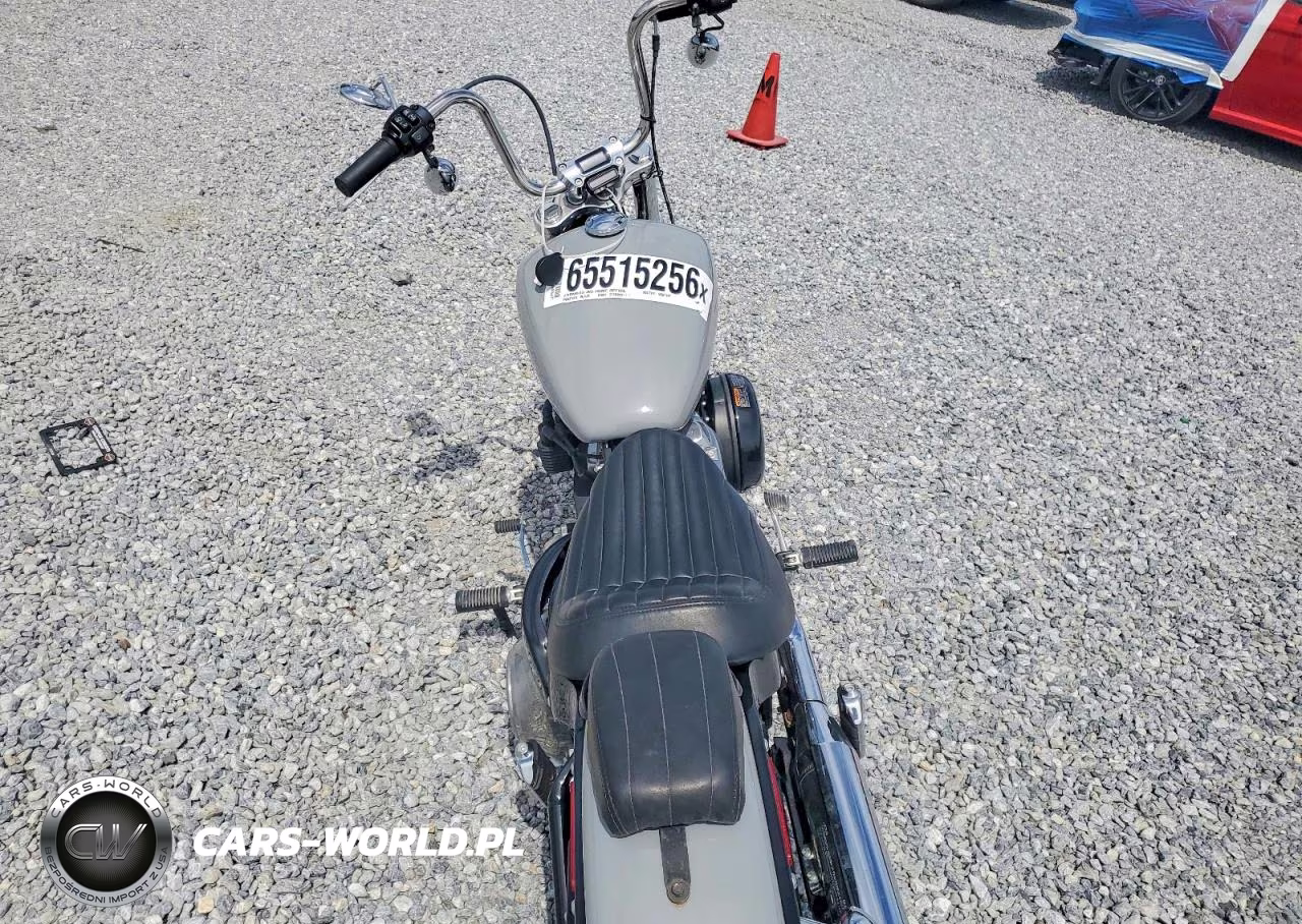 2024 Harley-Davidson Motorcyle VIN:1HD1BVJ13RB017331 - 6