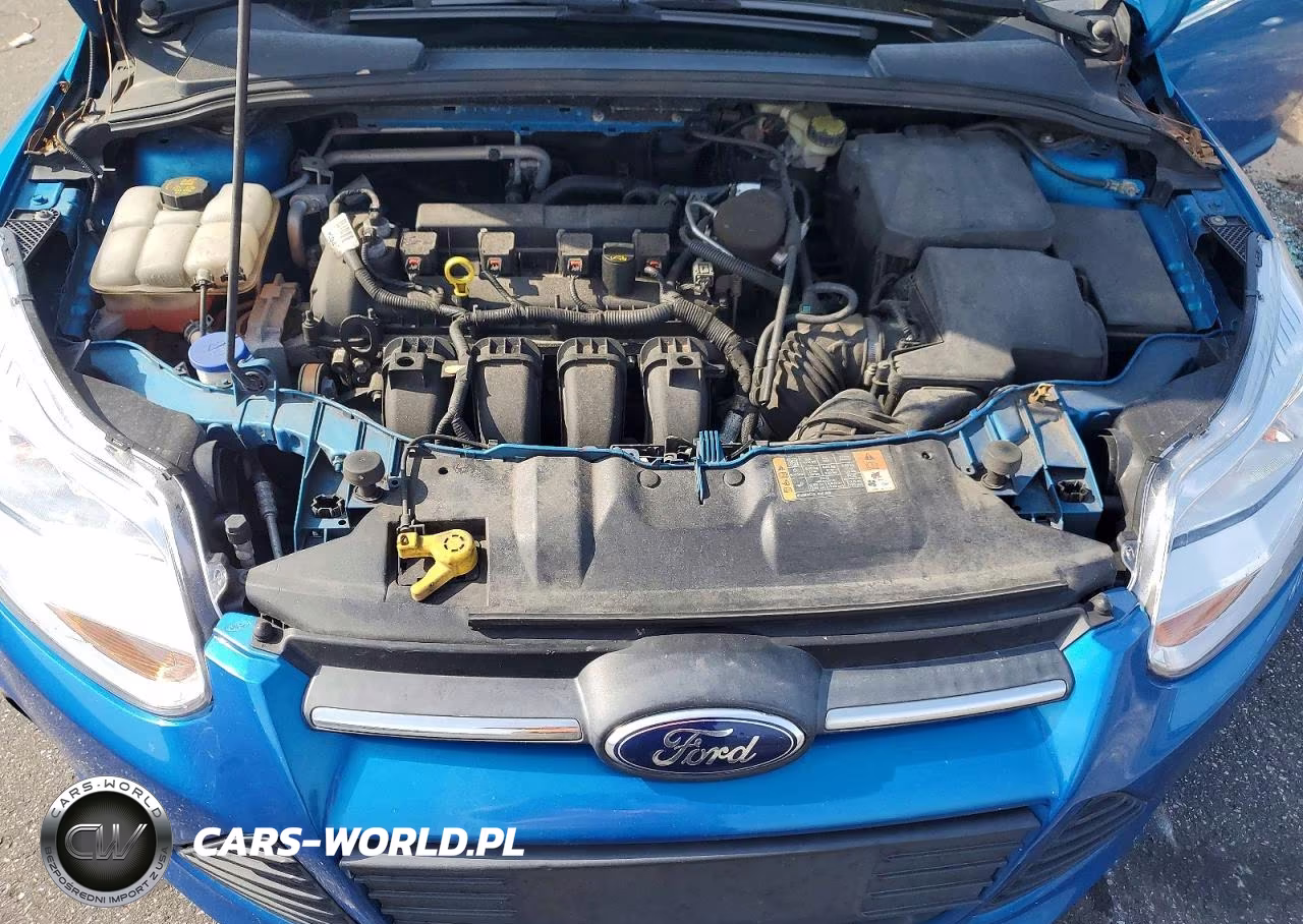 2014 Ford Focus Se VIN:1FADP3F24EL447790 - 11