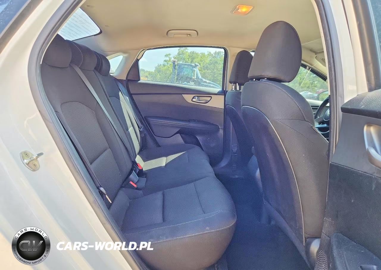 2019 Kia Forte Lxs VIN:3KPF24AD0KE077751 - 10