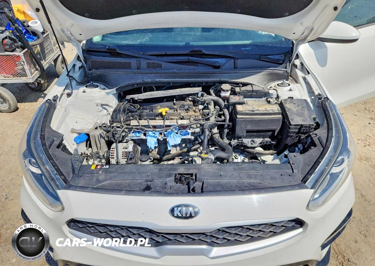 2019 Kia Forte Lxs VIN:3KPF24AD0KE077751 - 11