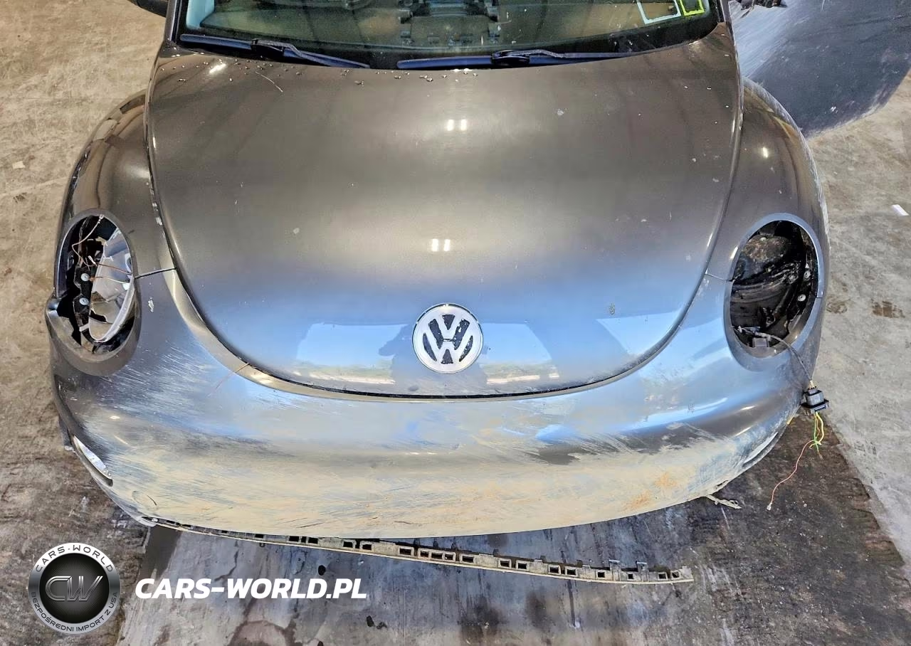 2003 Volkswagen New Beetle Gl VIN:3VWBK21C13M434482 - 11