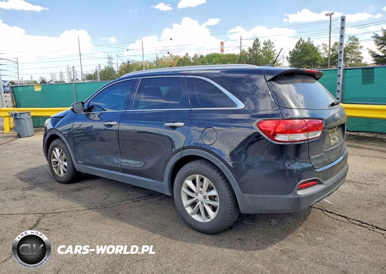 2017 Kia Sorento Lx VIN:5XYPGDA36HG287165 - 2