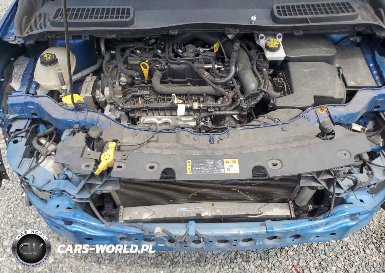 2019 Ford Escape Se VIN:1FMCU0GD1KUA12272 - 12
