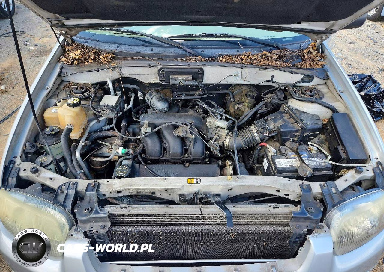 2004 Ford Escape Limited VIN:1FMCU941X4KA44957 - 12