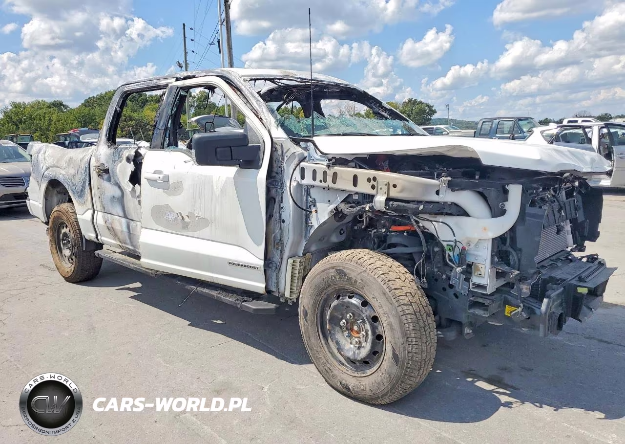 2023 Ford F150 Supercrew VIN:1FTFW1ED3PFC75718 - 4