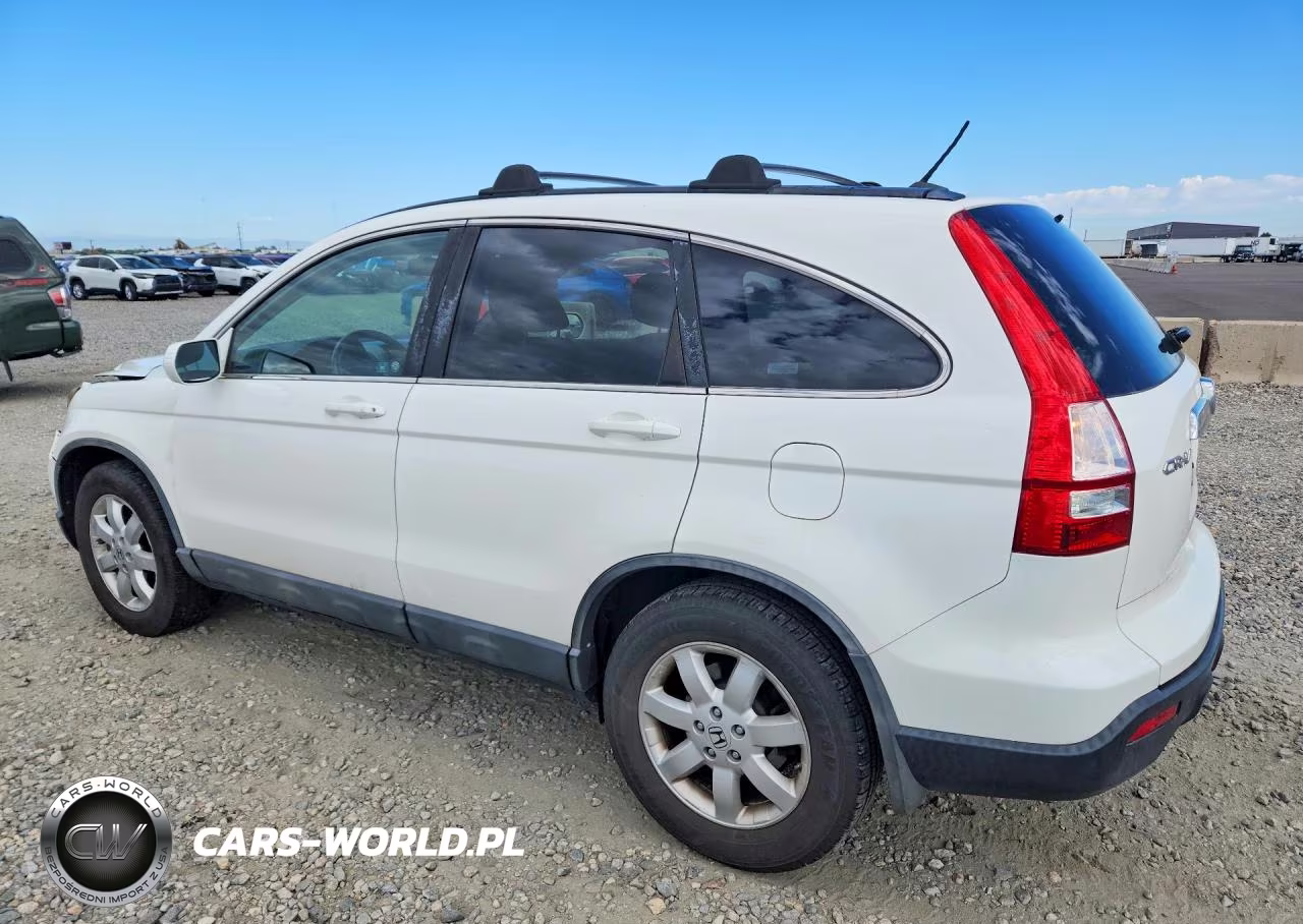 2009 Honda Cr-V Exl VIN:5J6RE487X9L043557 - 2