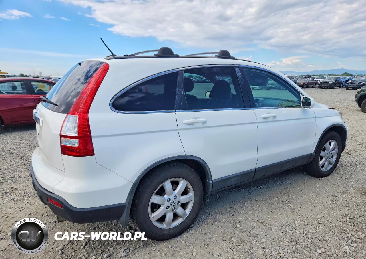 2009 Honda Cr-V Exl VIN:5J6RE487X9L043557 - 3