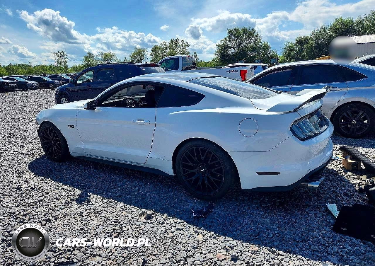 2018 Ford Mustang Gt VIN:1FA6P8CF6J5123185 - 2