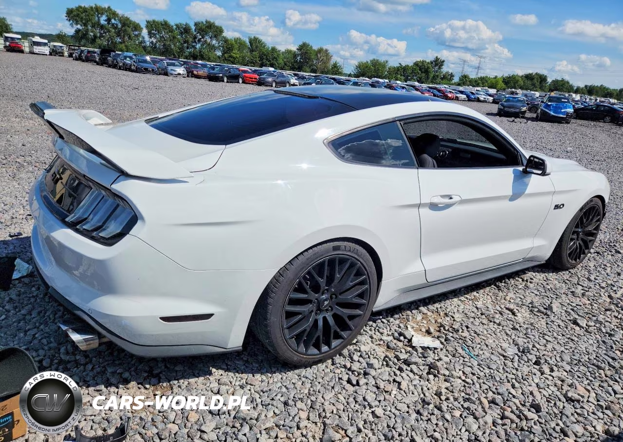 2018 Ford Mustang Gt VIN:1FA6P8CF6J5123185 - 3