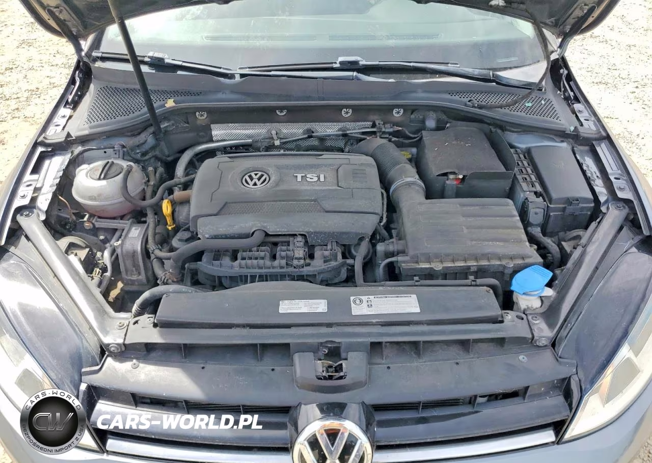 2017 Volkswagen Golf S VIN:3VW217AU2HM028341 - 11