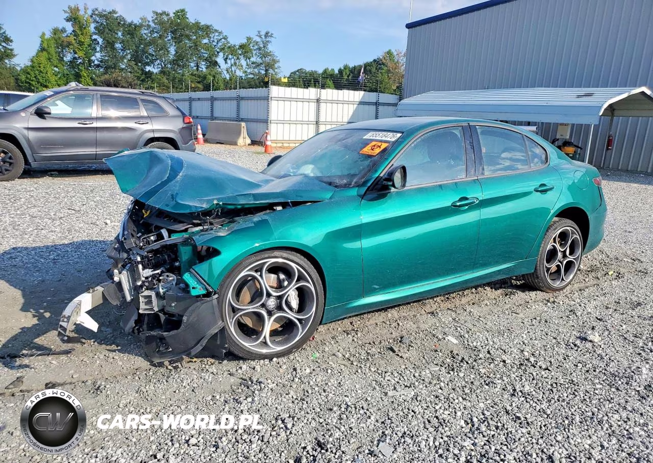 2025 Alfa Romeo Giulia Base VIN:ZARFANAN5S7689693 - 1