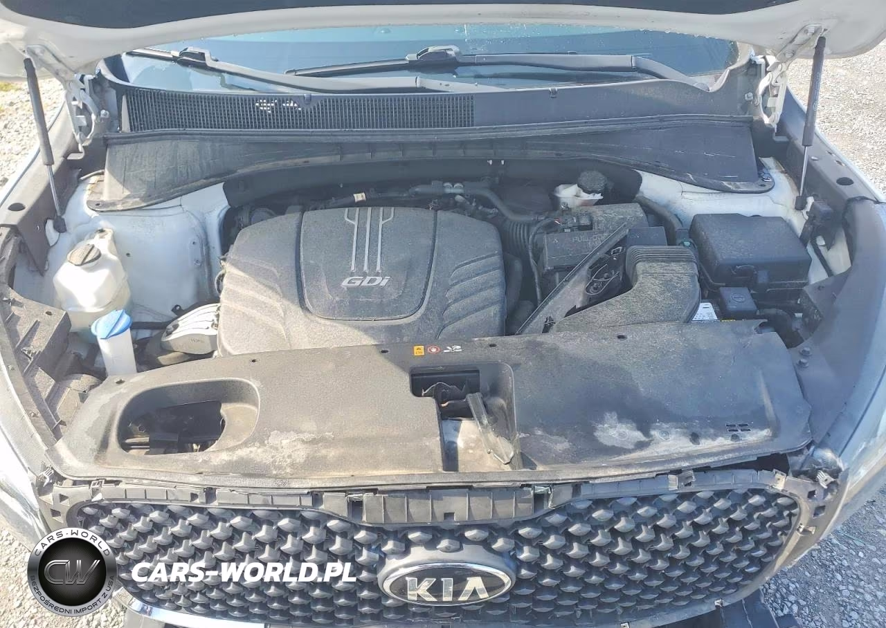 2017 Kia Sorento Lx V6 VIN:5XYPGDA58HG250247 - 12