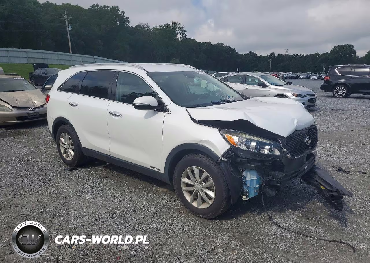2017 Kia Sorento Lx V6 VIN:5XYPGDA58HG250247 - 4