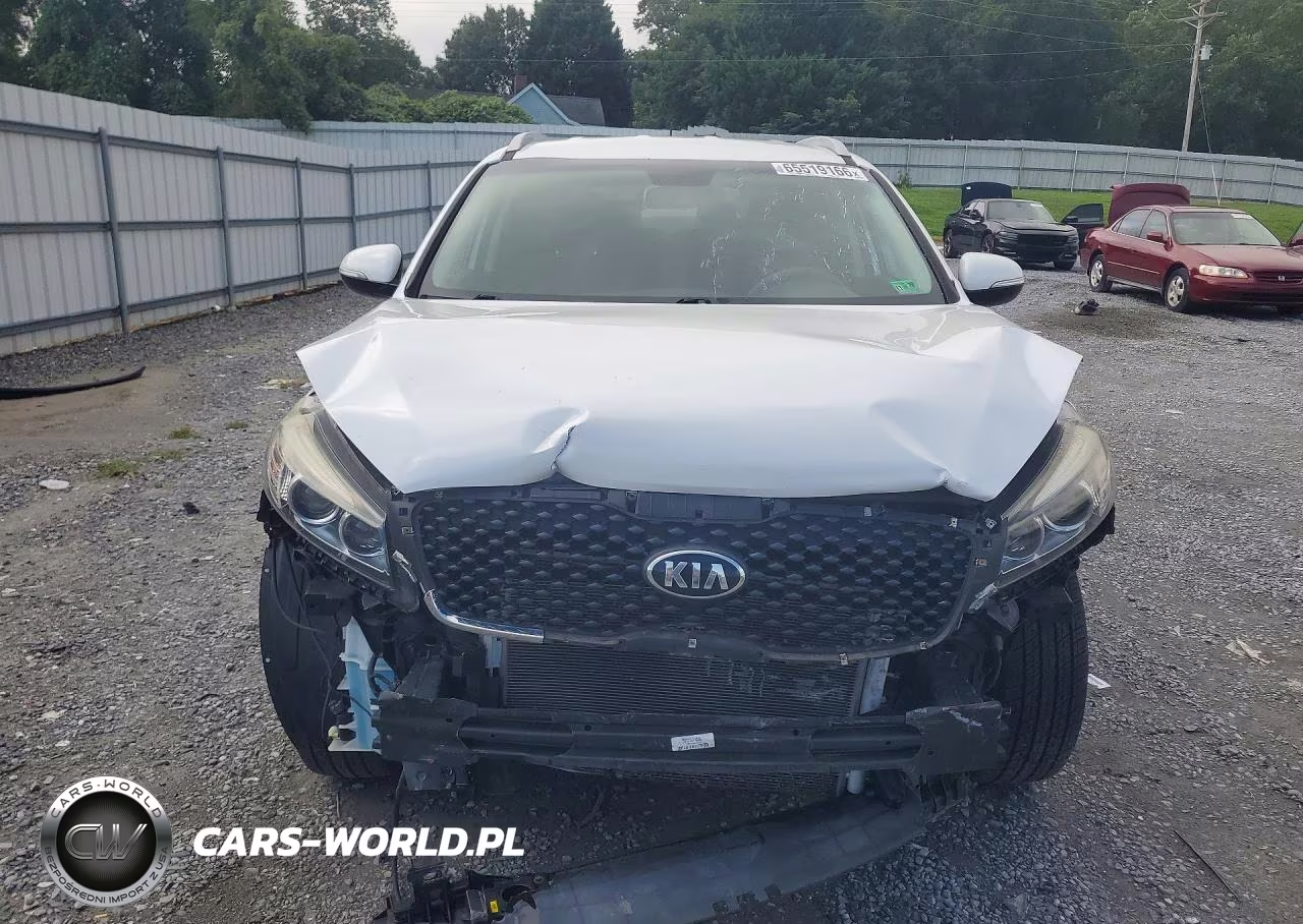 2017 Kia Sorento Lx V6 VIN:5XYPGDA58HG250247 - 5