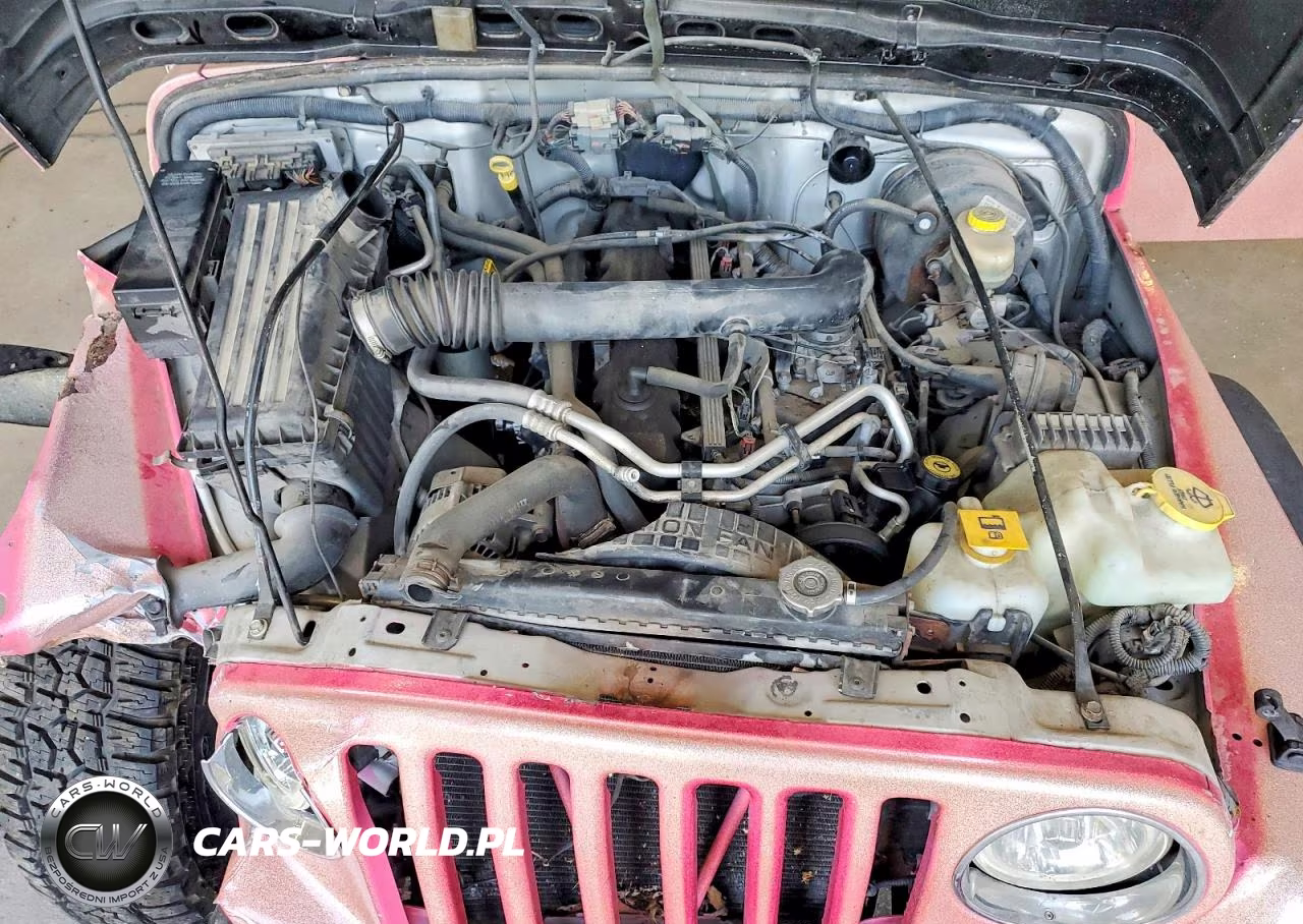 2003 Jeep Wrangler - Tj Sport VIN:1J4FA49S73P362089 - 12