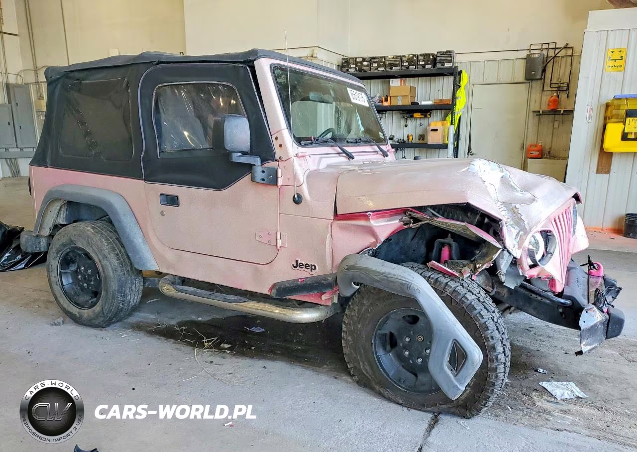 2003 Jeep Wrangler - Tj Sport VIN:1J4FA49S73P362089 - 4