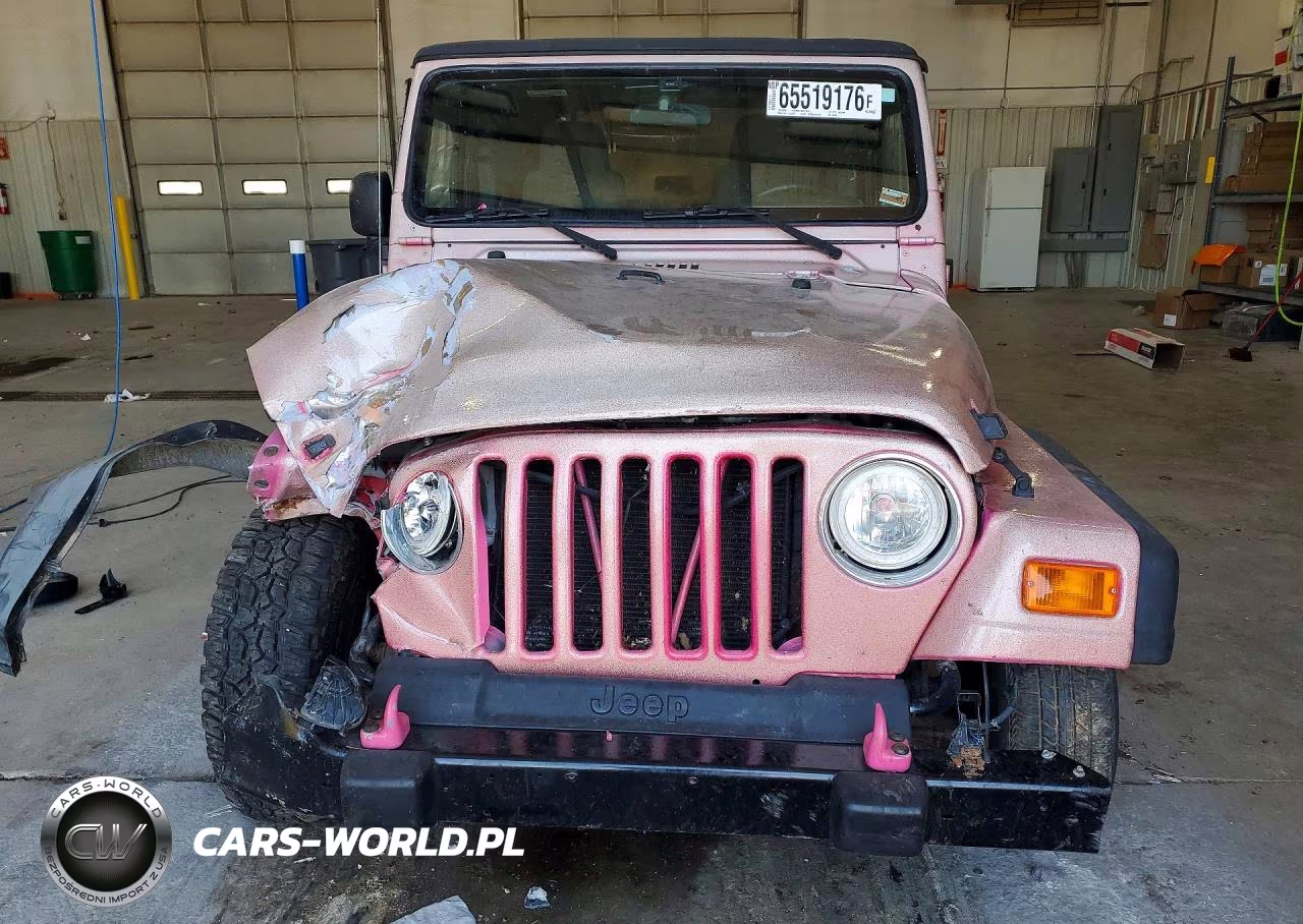 2003 Jeep Wrangler - Tj Sport VIN:1J4FA49S73P362089 - 5