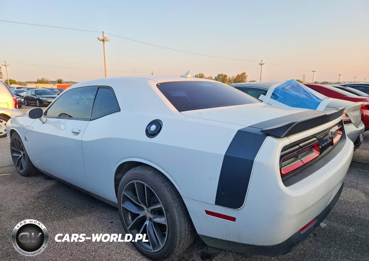 2016 Dodge Challenger R VIN:2C3CDZFJ0GH345917 - 2