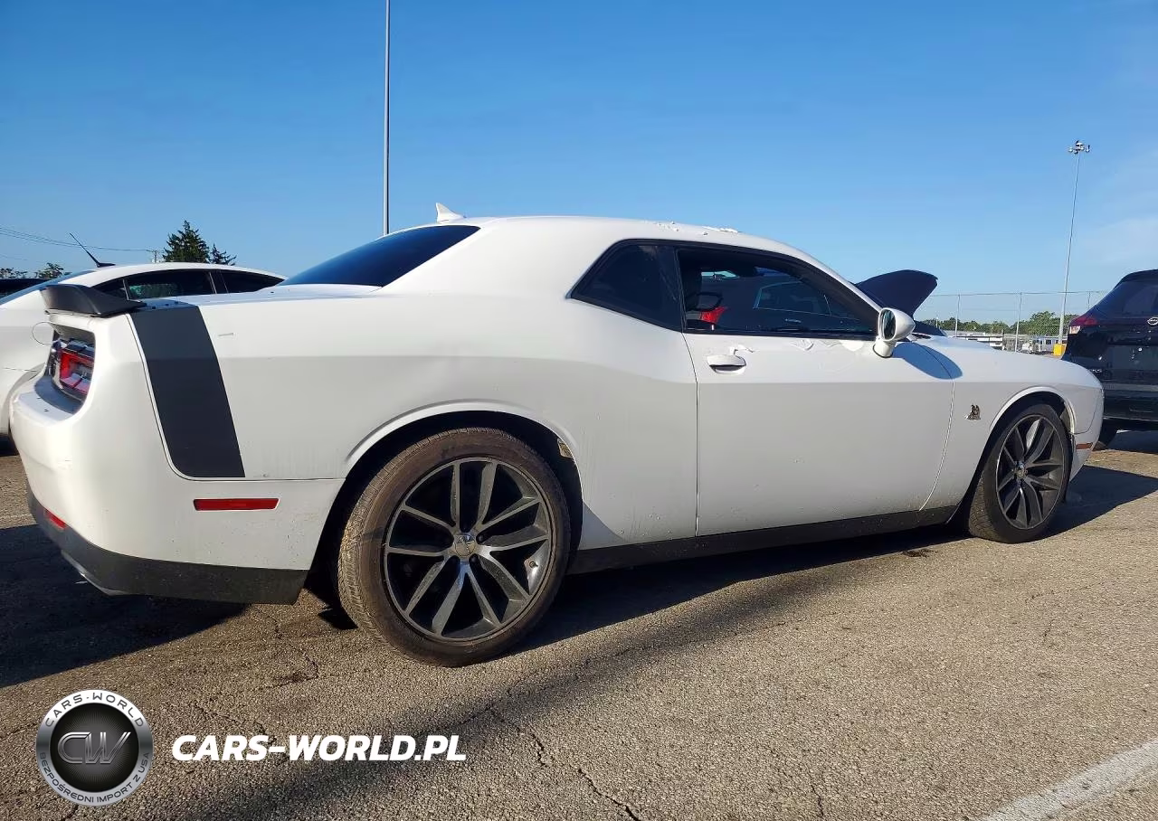 2016 Dodge Challenger R VIN:2C3CDZFJ0GH345917 - 3