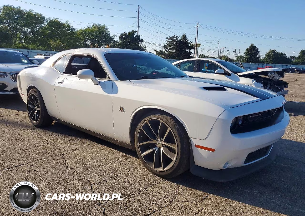 2016 Dodge Challenger R VIN:2C3CDZFJ0GH345917 - 4