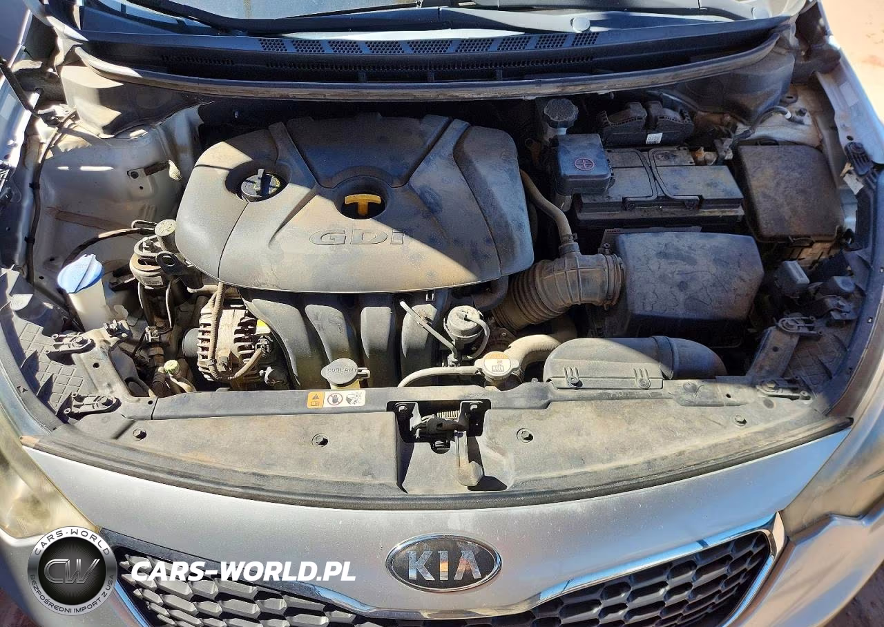2014 Kia Forte Ex VIN:KNAFX4A80E5095314 - 11