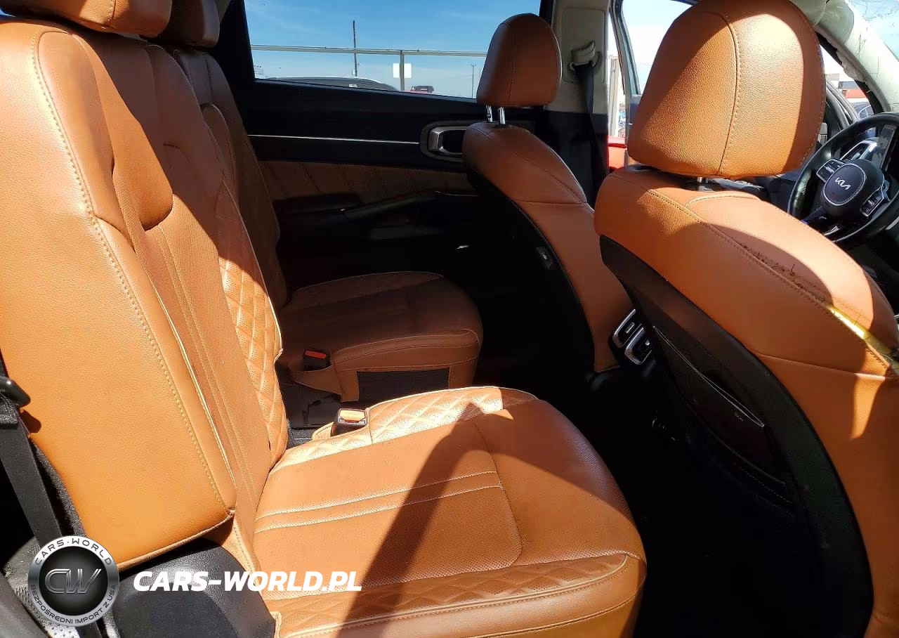2022 Kia Sorento X-Line Sx Prestige VIN:5XYRKDLFXNG089621 - 10