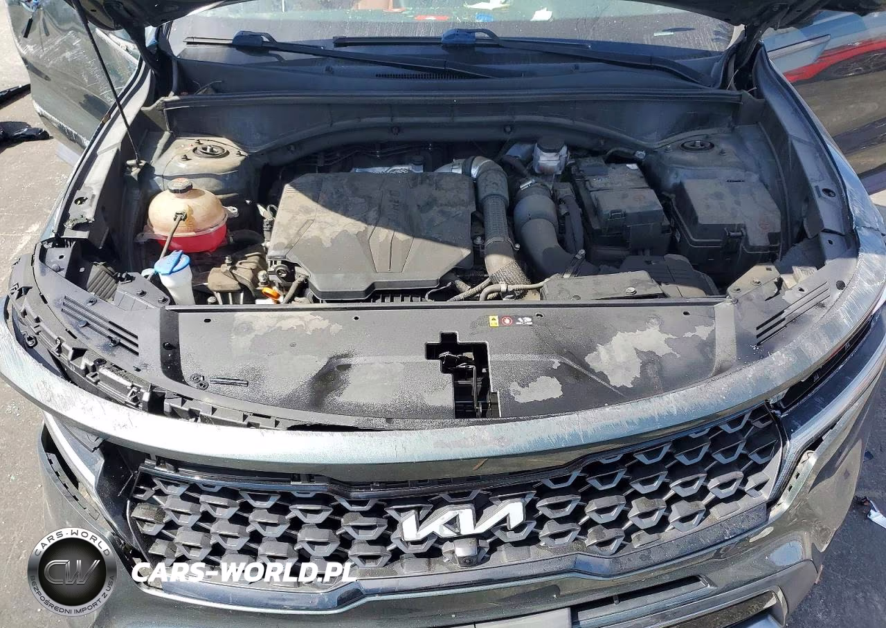 2022 Kia Sorento X-Line Sx Prestige VIN:5XYRKDLFXNG089621 - 11