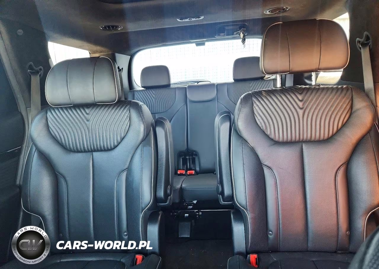2024 Hyundai Palisade Calligraphy VIN:KM8R7DGE8RU769035 - 10
