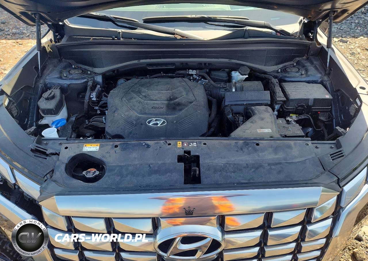 2024 Hyundai Palisade Calligraphy VIN:KM8R7DGE8RU769035 - 12