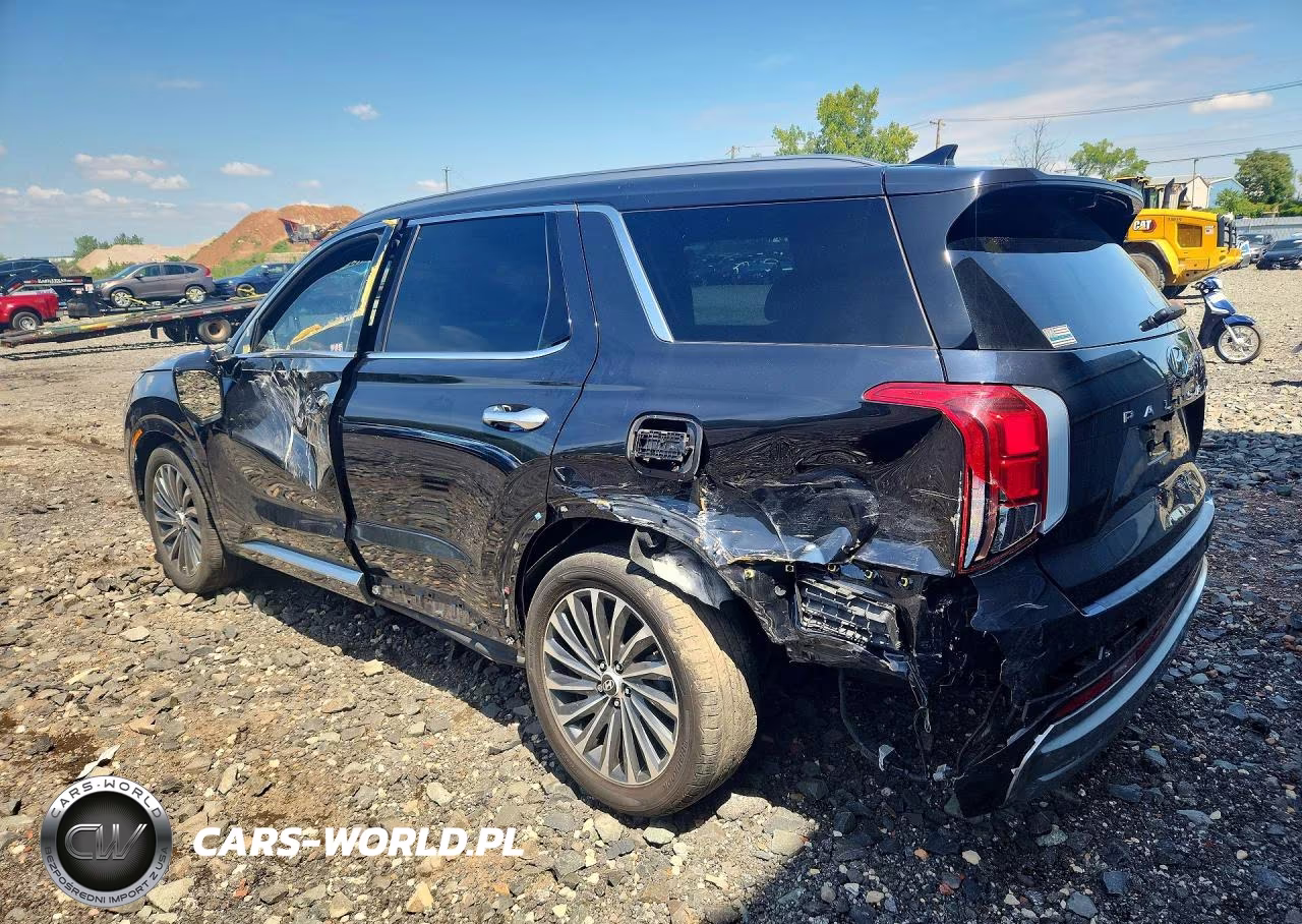 2024 Hyundai Palisade Calligraphy VIN:KM8R7DGE8RU769035 - 2