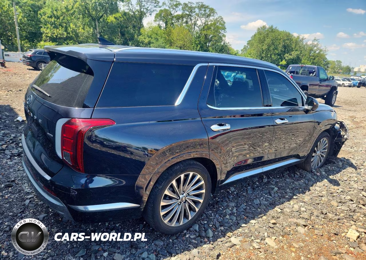 2024 Hyundai Palisade Calligraphy VIN:KM8R7DGE8RU769035 - 3