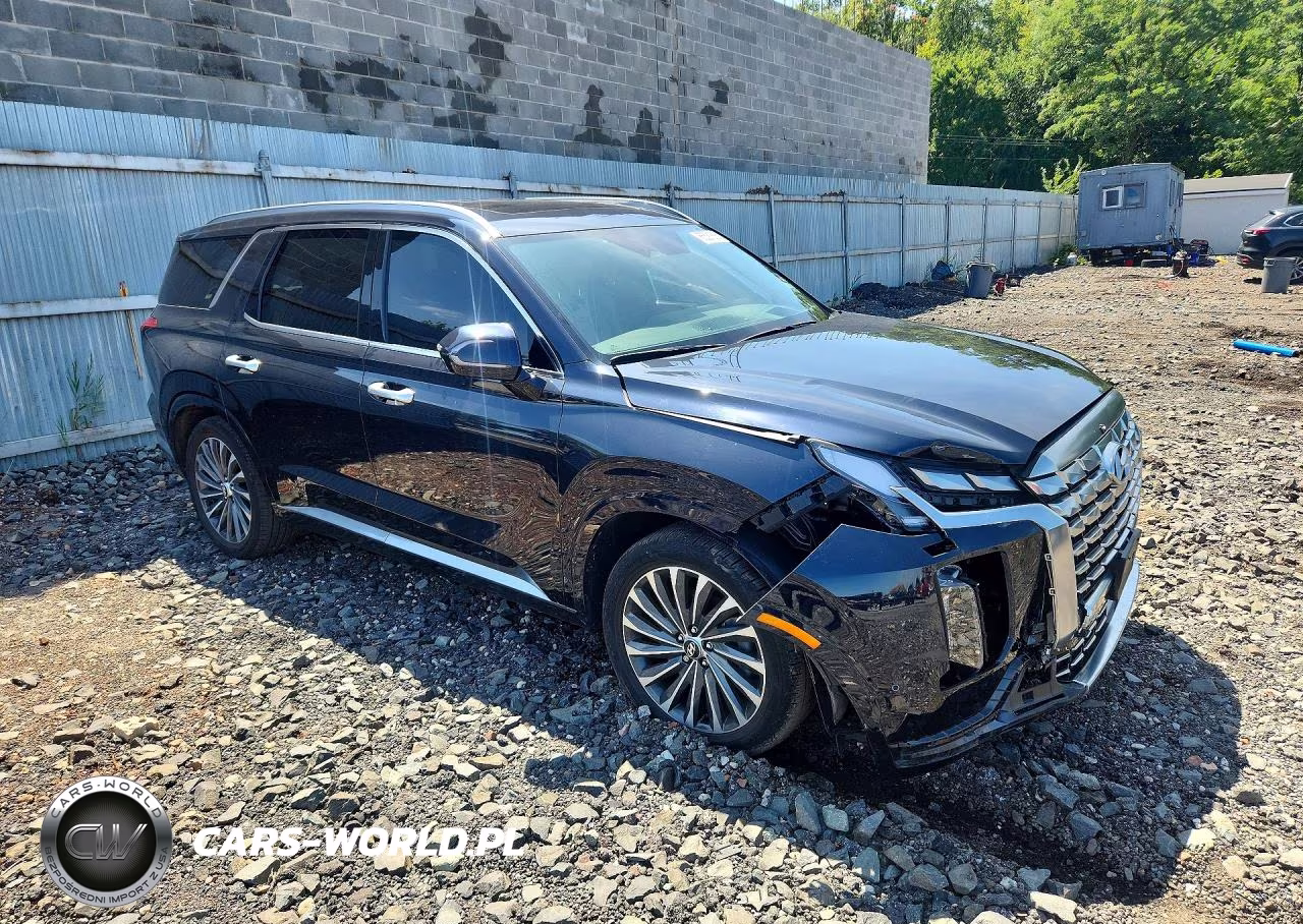 2024 Hyundai Palisade Calligraphy VIN:KM8R7DGE8RU769035 - 4