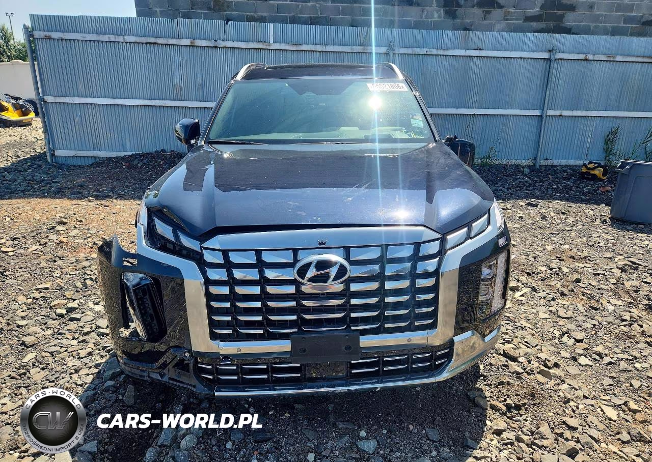 2024 Hyundai Palisade Calligraphy VIN:KM8R7DGE8RU769035 - 5