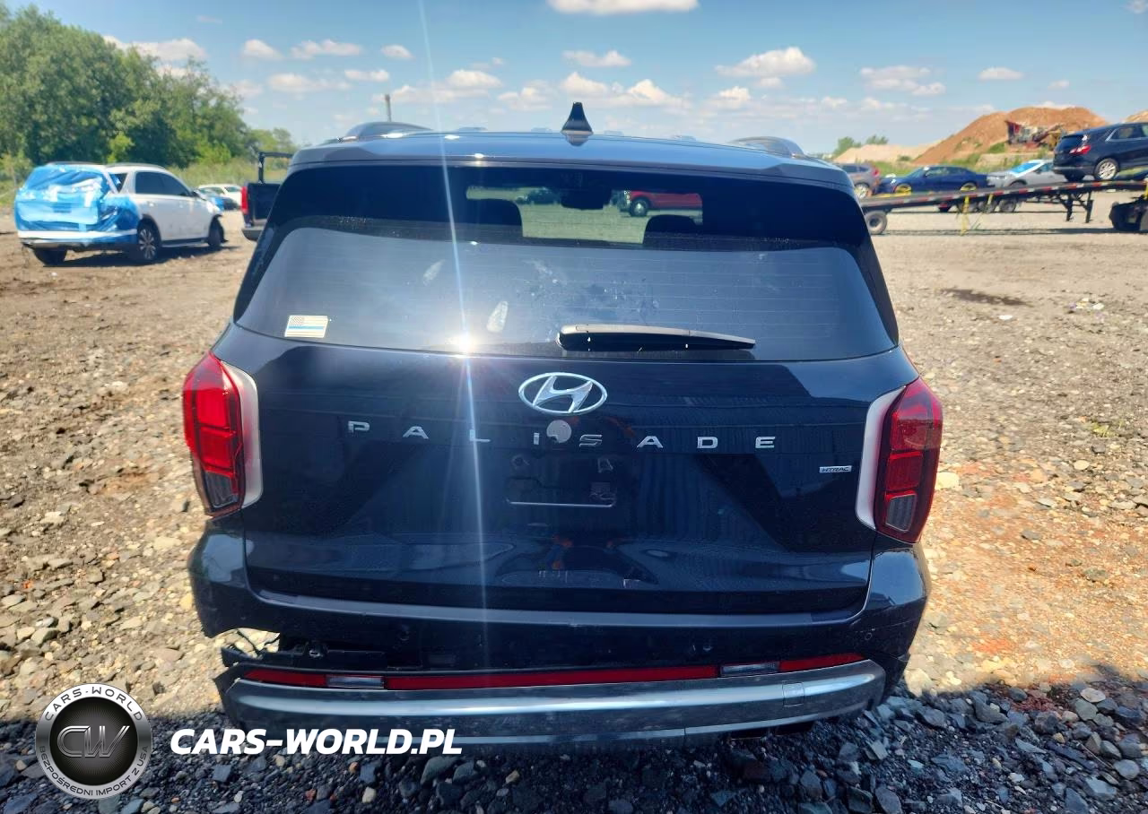 2024 Hyundai Palisade Calligraphy VIN:KM8R7DGE8RU769035 - 6