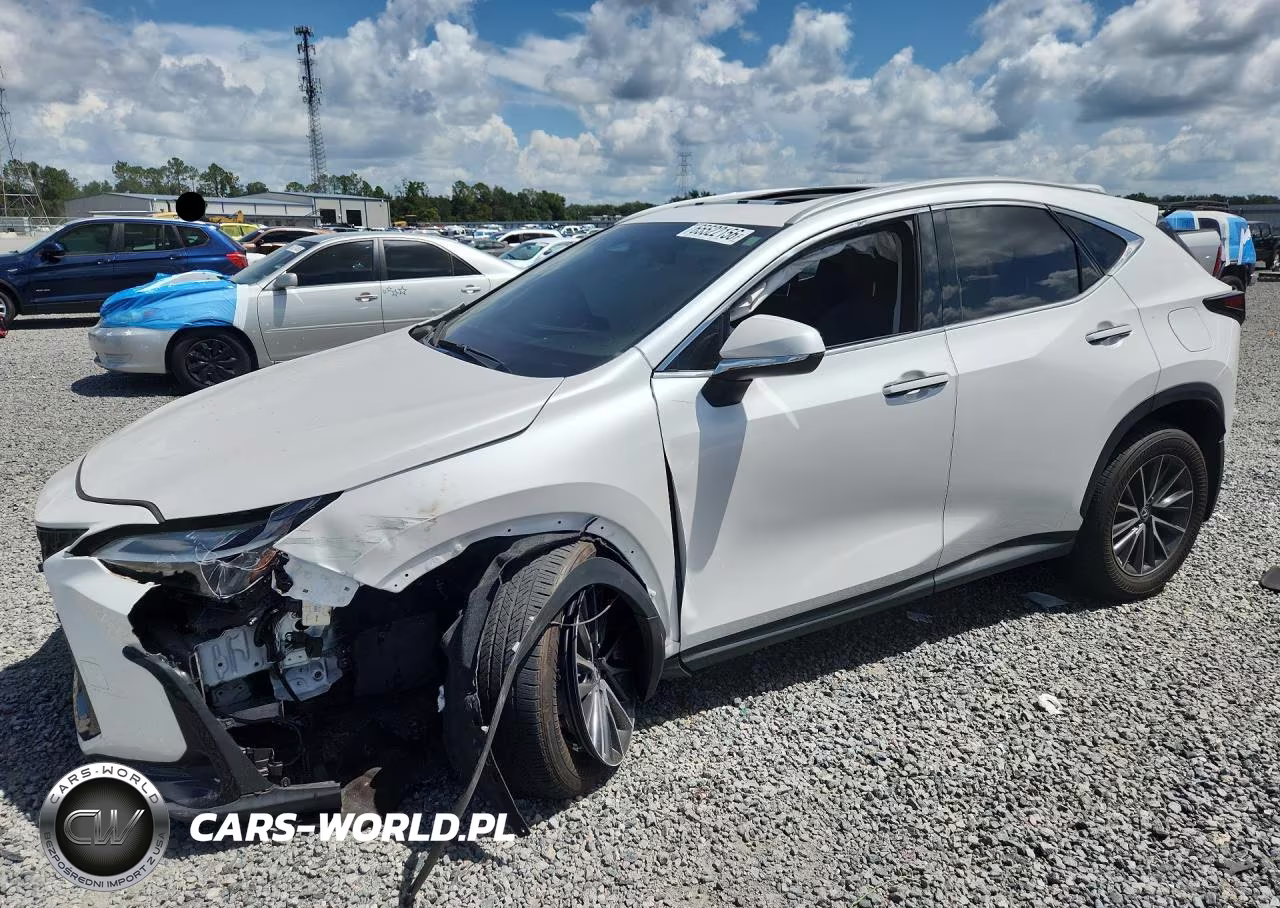 2024 Lexus Nx 250 Premium VIN:2T2GDCAZ8RC009061 - 1