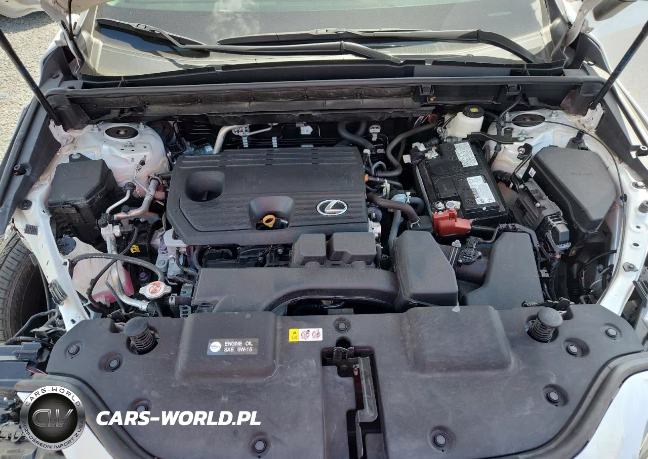 2024 Lexus Nx 250 Premium VIN:2T2GDCAZ8RC009061 - 12